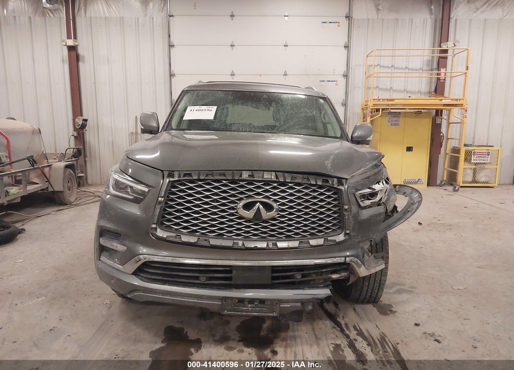 2019 INFINITI QX80 VIN: JN8AZ2NE6K9230073