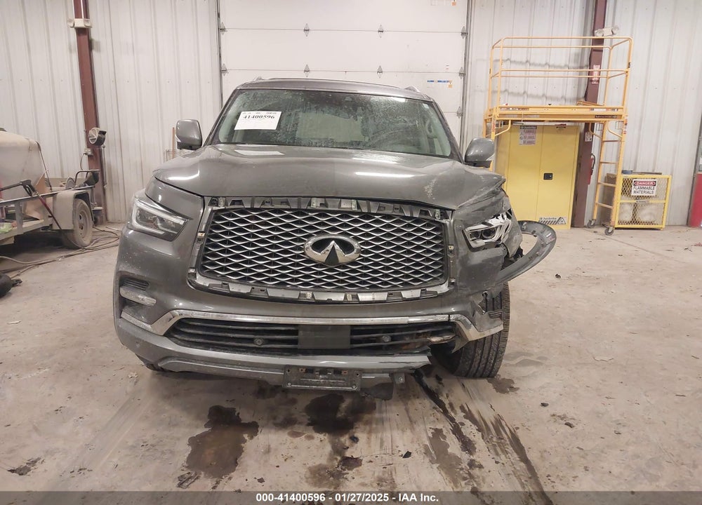 2019 INFINITI QX80 VIN: JN8AZ2NE6K9230073