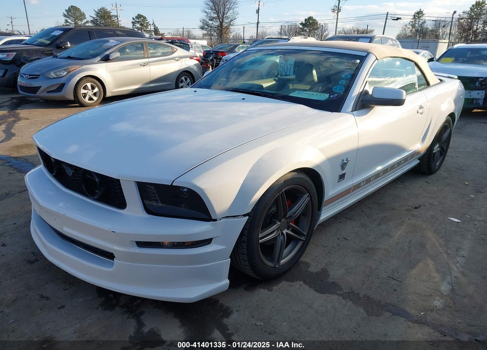2009 FORD MUSTANG V6/V6 PREMIUM VIN: 1ZVHT84N695111809