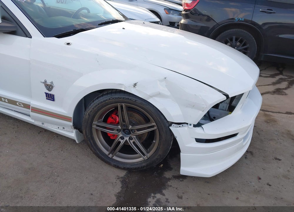 2009 FORD MUSTANG V6/V6 PREMIUM VIN: 1ZVHT84N695111809