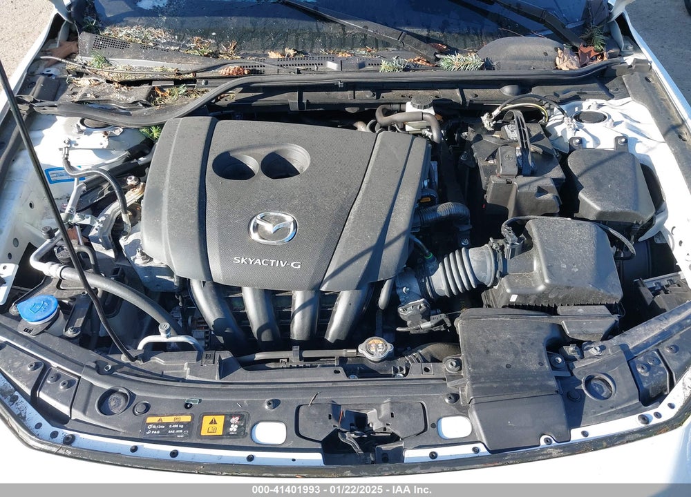 2019 MAZDA MAZDA3 VIN: JM1BPACL1K1108236