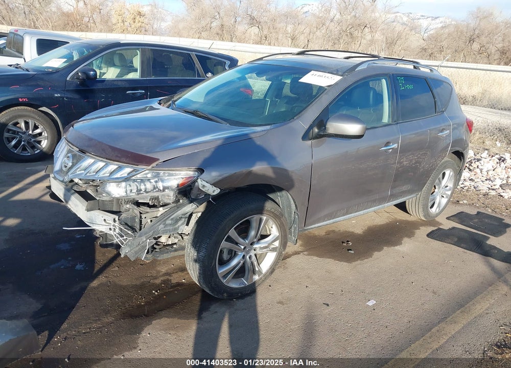 2010 NISSAN MURANO LE VIN: JN8AZ1MW9AW125077
