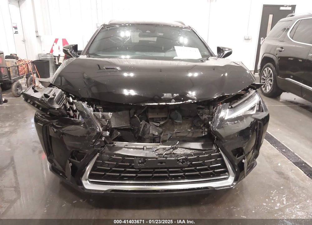 2020 LEXUS UX 250H VIN: JTHX9JBH2L2036390