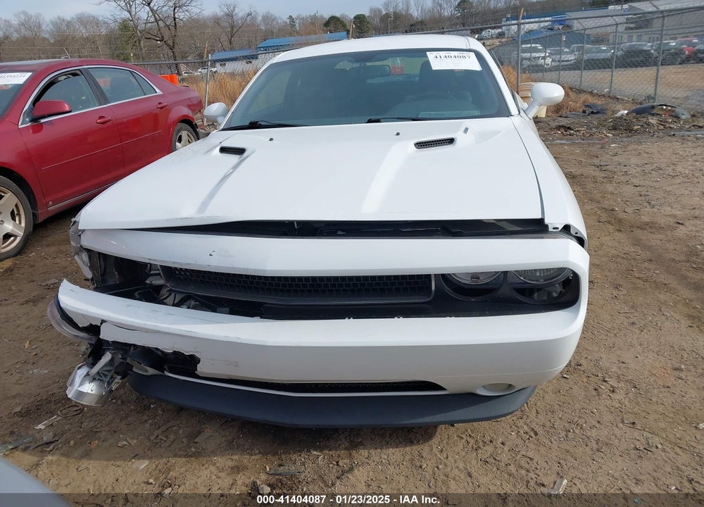 2013 DODGE CHALLENGER VIN: 2C3CDYBT8DH724368