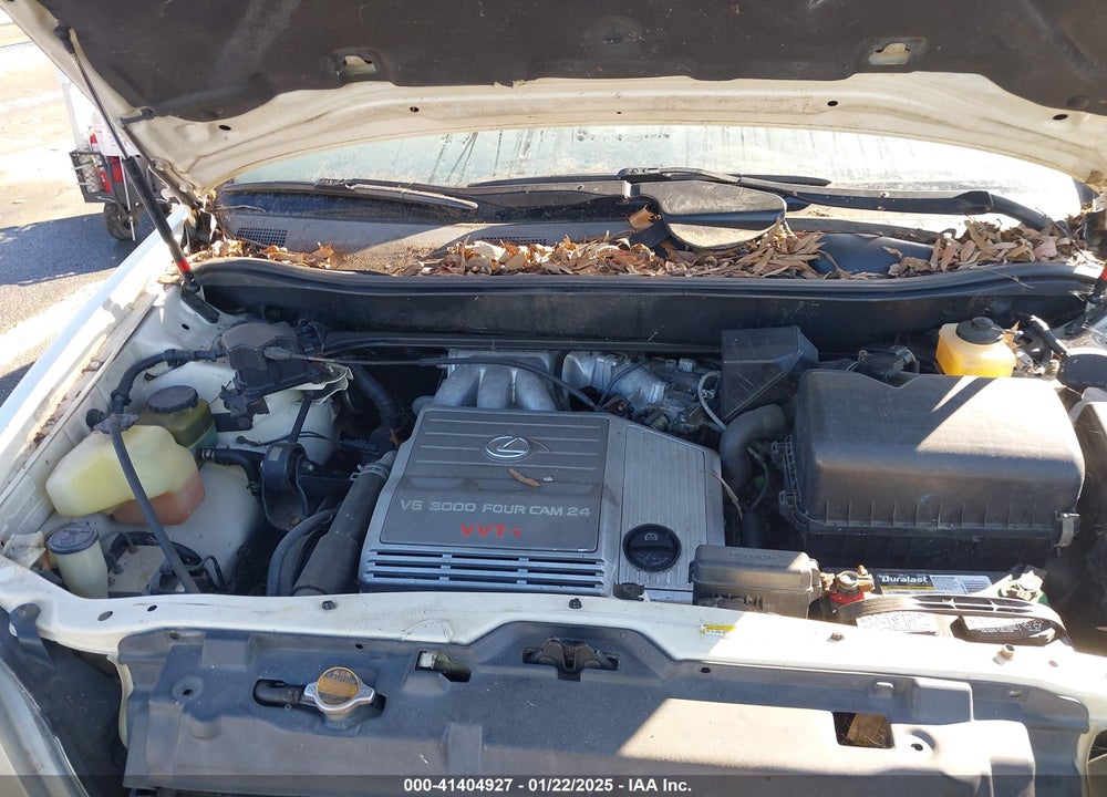 1999 LEXUS RX 300 VIN: JT6HF10U3X0052413