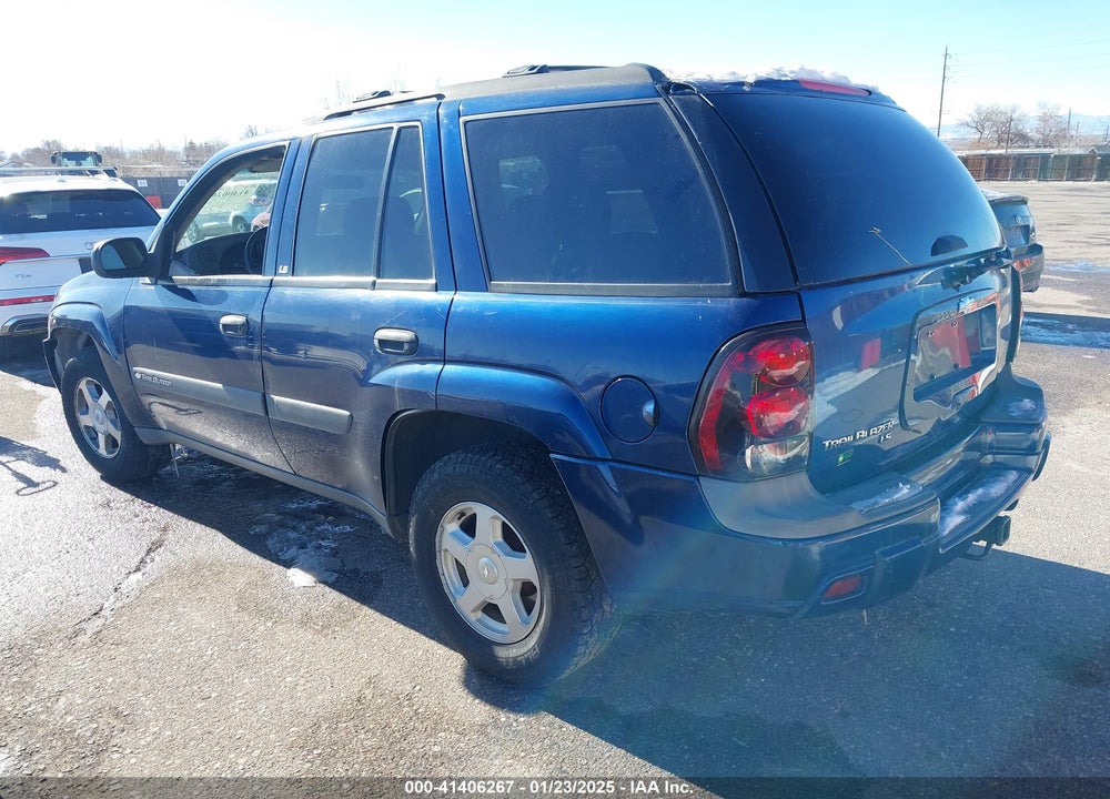 2003 CHEVROLET TRAILBLAZER LS VIN: 1GNDT13S932138180