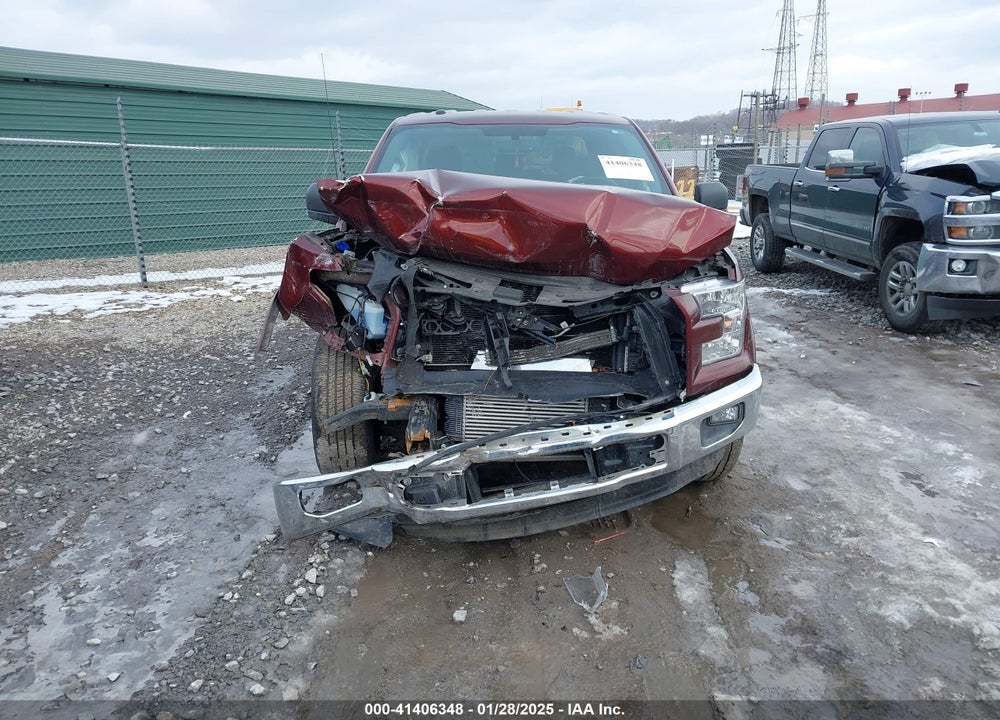 2015 FORD F150 VIN: 1FTFW1EG1FFC49773