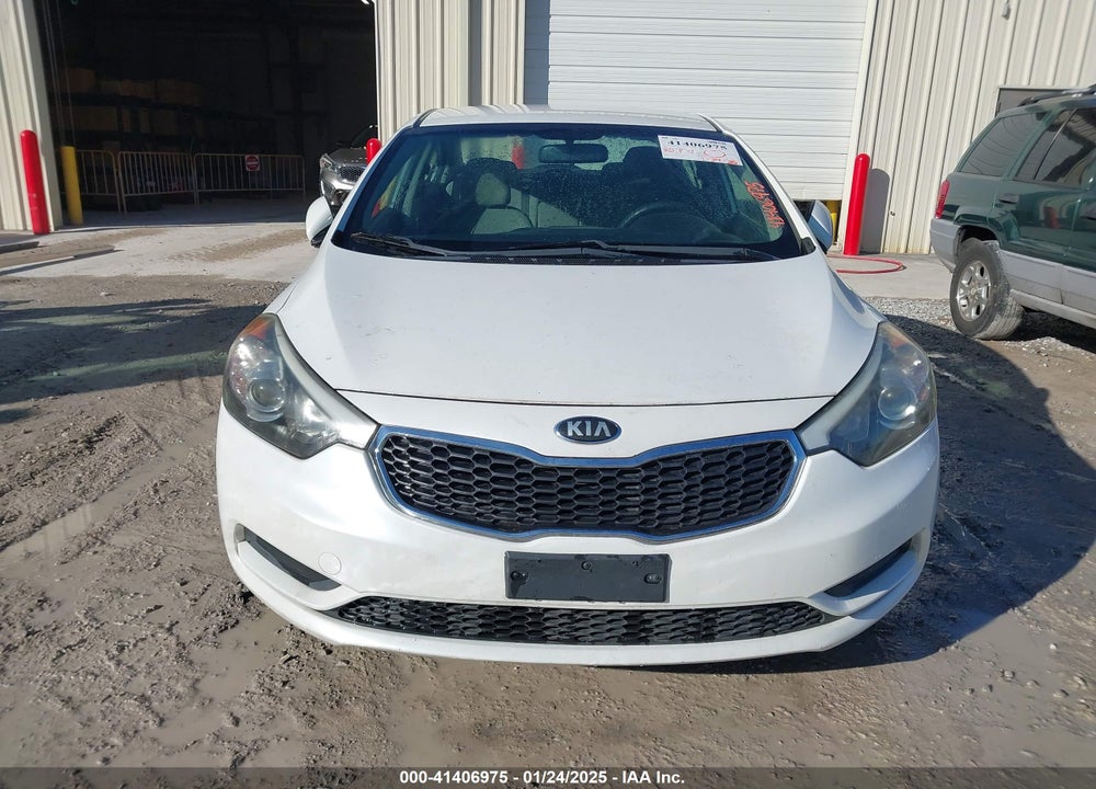 2014 KIA FORTE LX VIN: KNAFX4A67E5139176