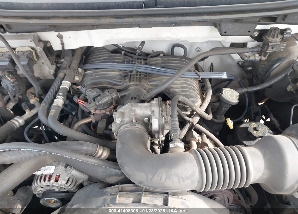 2006 FORD F150 VIN: 1FTRF12246NB59738