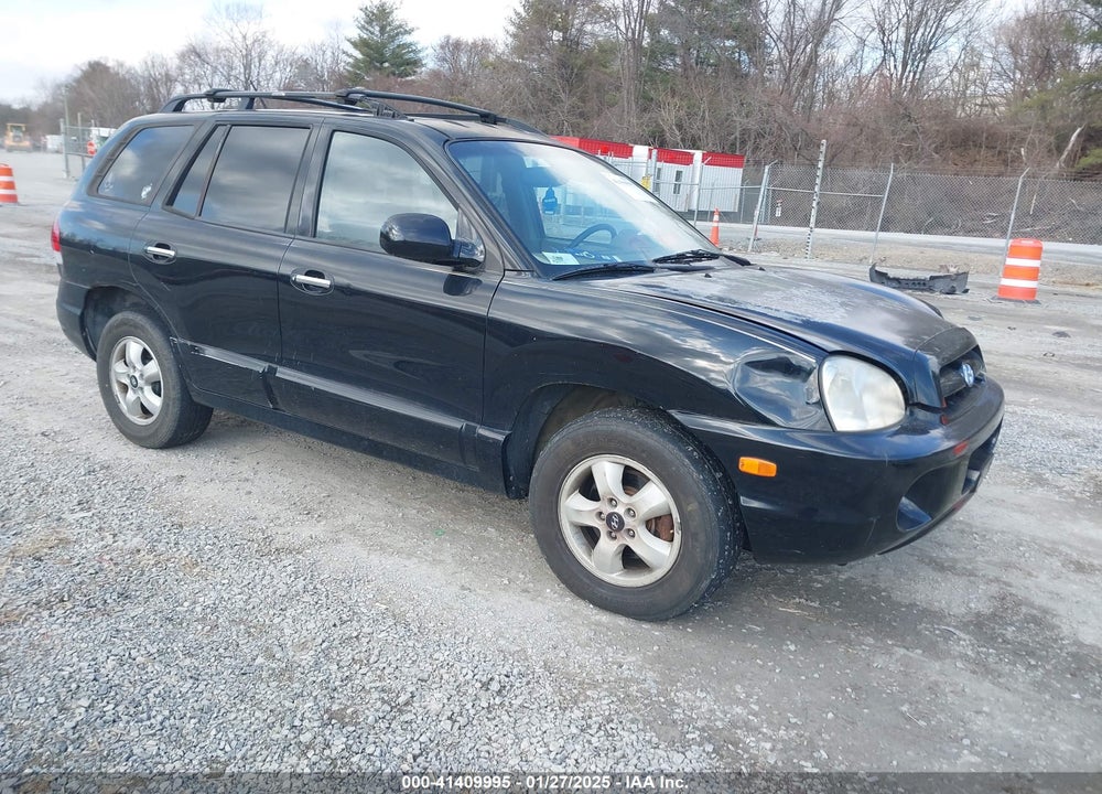 2006 HYUNDAI SANTA FE VIN: KM8SC13E36U069095