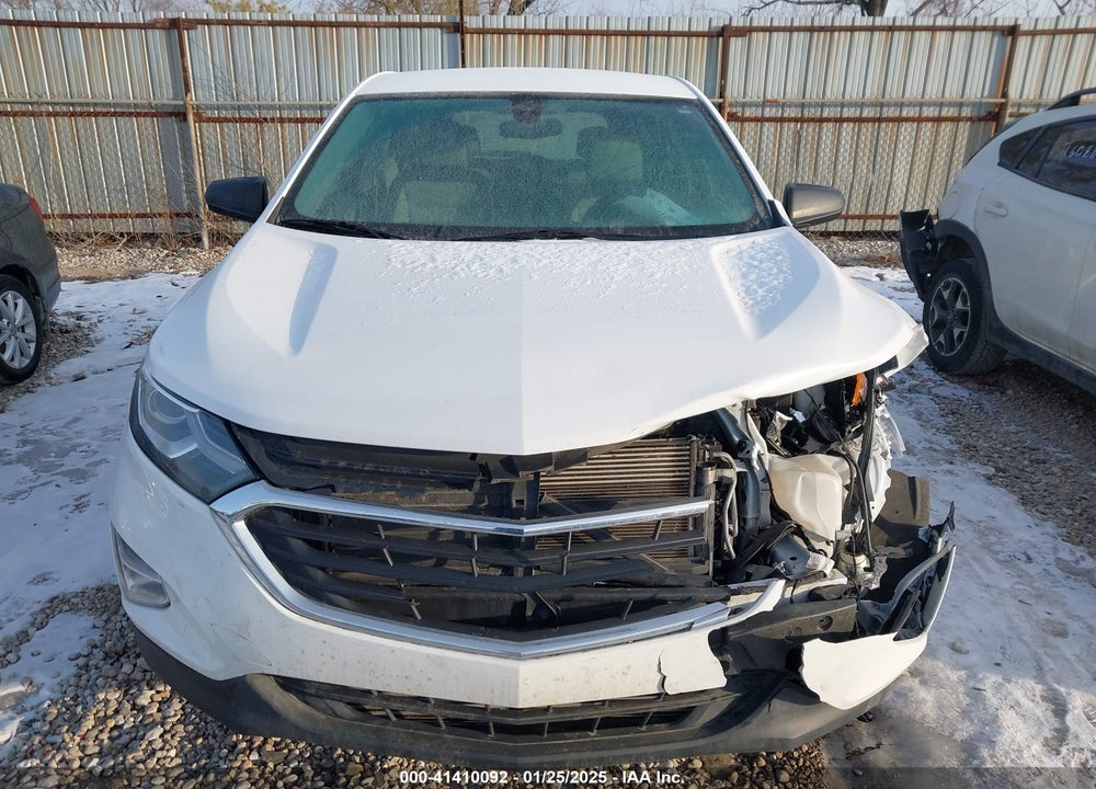 2019 CHEVROLET EQUINOX LS VIN: 2GNAXHEV7K6176662
