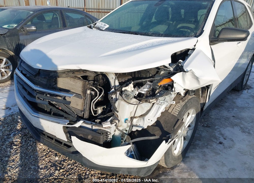 2019 CHEVROLET EQUINOX LS VIN: 2GNAXHEV7K6176662