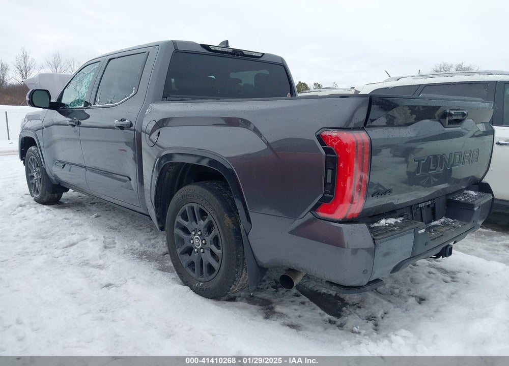 2022 TOYOTA TUNDRA PLATINUM VIN: 5TFNA5DB8NX025240