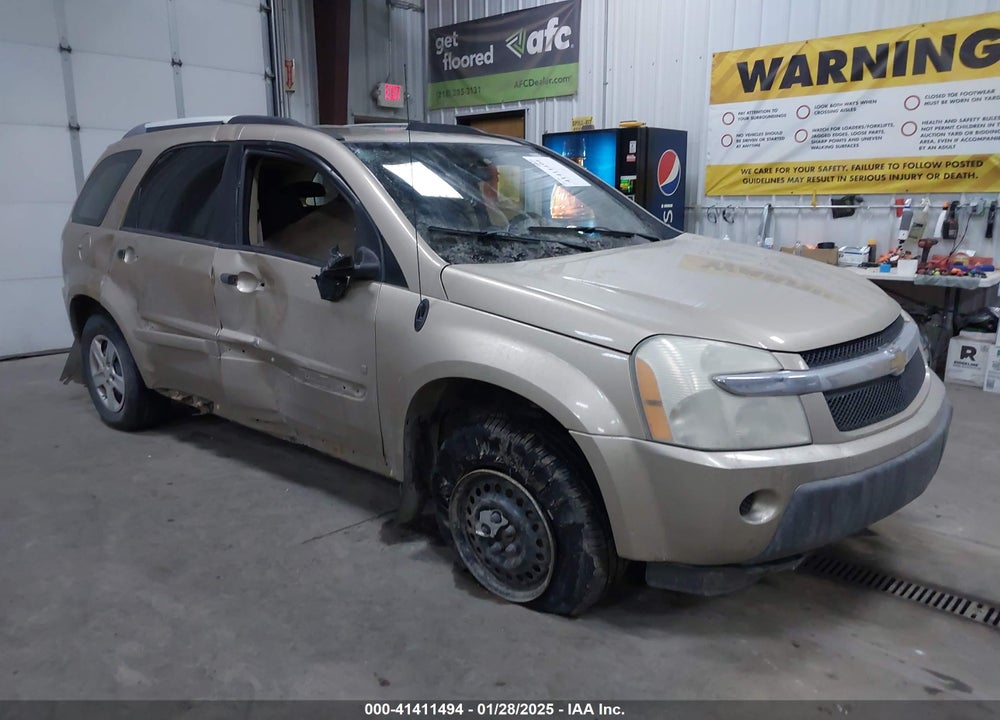 2006 CHEVROLET EQUINOX LS VIN: 2CNDL23F166048137