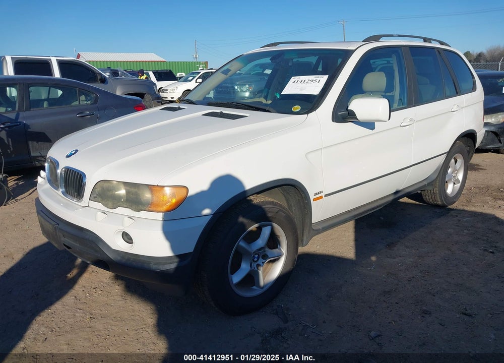 2002 BMW X5 3.0I VIN: 5UXFA53502LV72715