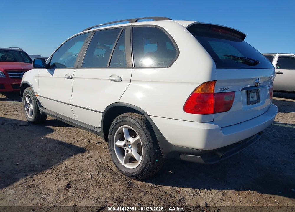 2002 BMW X5 3.0I VIN: 5UXFA53502LV72715