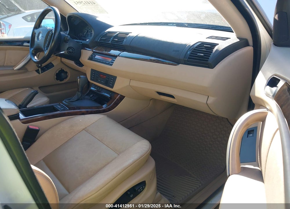 2002 BMW X5 3.0I VIN: 5UXFA53502LV72715