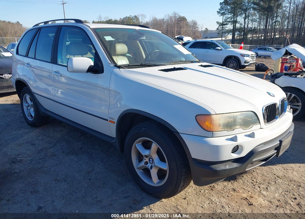 2002 BMW X5 3.0I VIN: 5UXFA53502LV72715