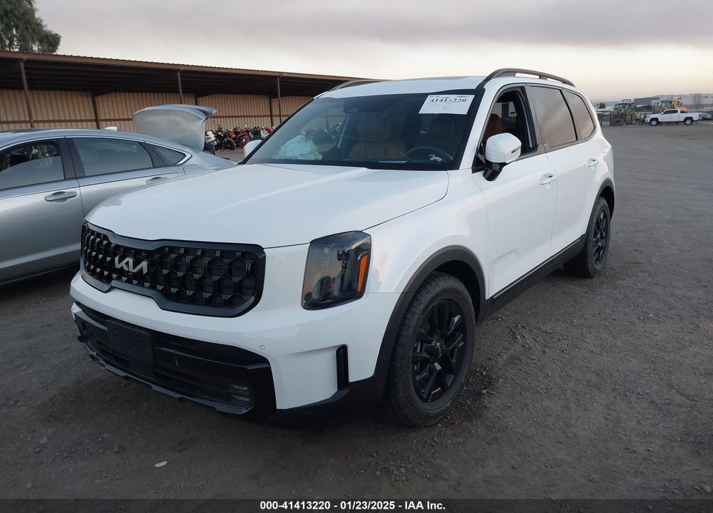 2024 KIA TELLURIDE SX PRESTIGE X-PRO VIN: 5XYP5DGC5RG481698