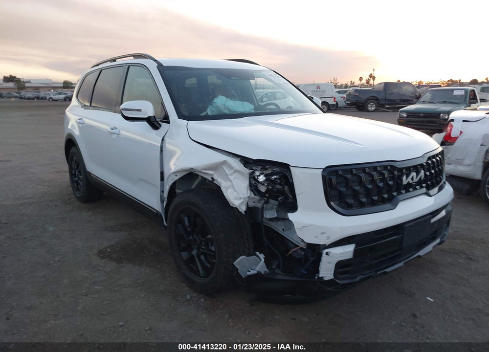 2024 KIA TELLURIDE SX PRESTIGE X-PRO VIN: 5XYP5DGC5RG481698