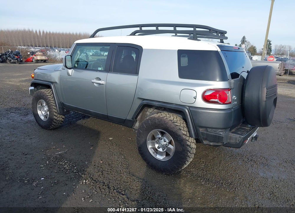 2010 TOYOTA FJ CRUISER VIN: JTEBU4BF6AK096501