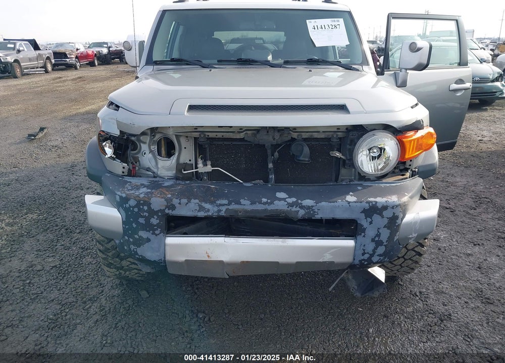 2010 TOYOTA FJ CRUISER VIN: JTEBU4BF6AK096501