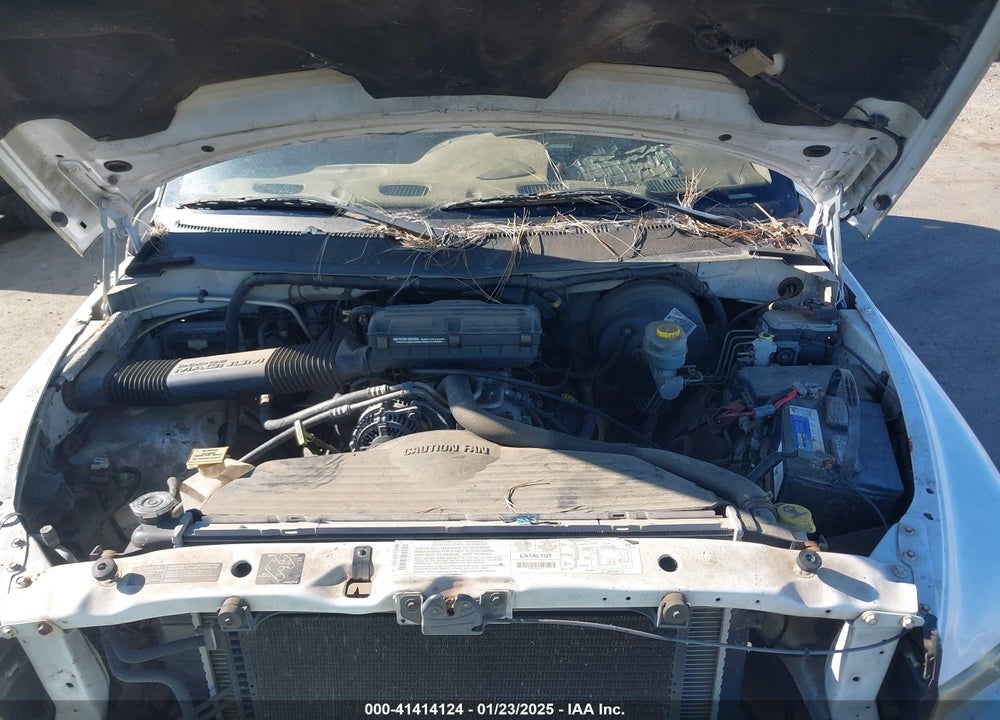 2000 DODGE RAM 1500 ST VIN: 1B7HC13Z3YJ191235