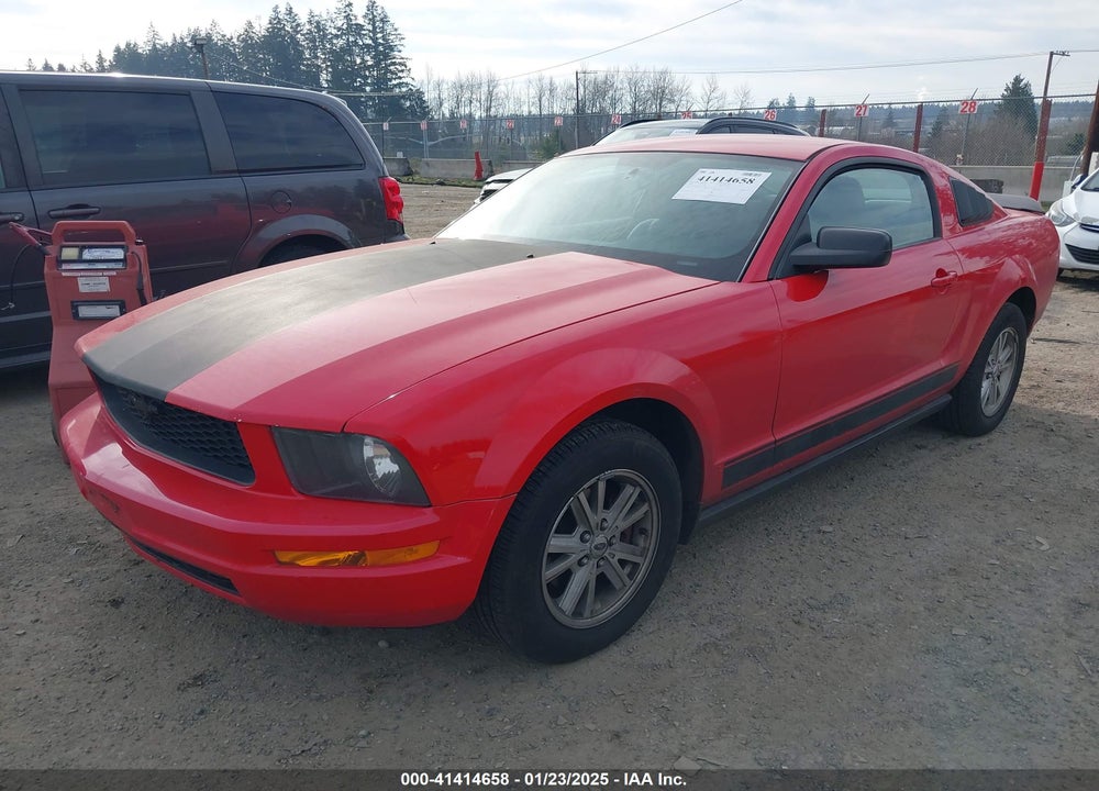 2006 FORD MUSTANG VIN: 1ZVFT80N065259155