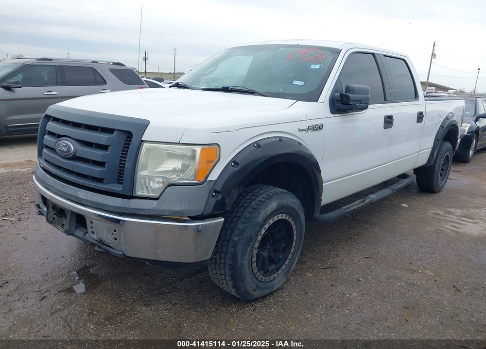 2010 FORD F-150 XL/XLT VIN: 1FTFW1E89AFB16549