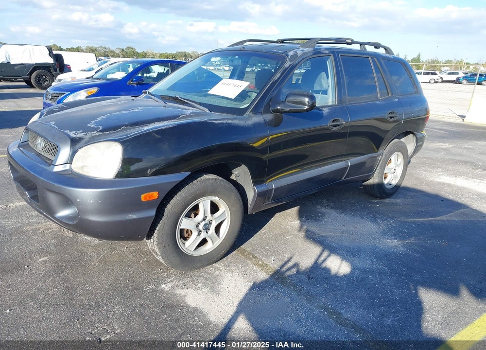 2004 HYUNDAI SANTA FE VIN: KM8SB12B54U636883