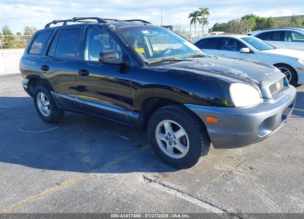2004 HYUNDAI SANTA FE VIN: KM8SB12B54U636883