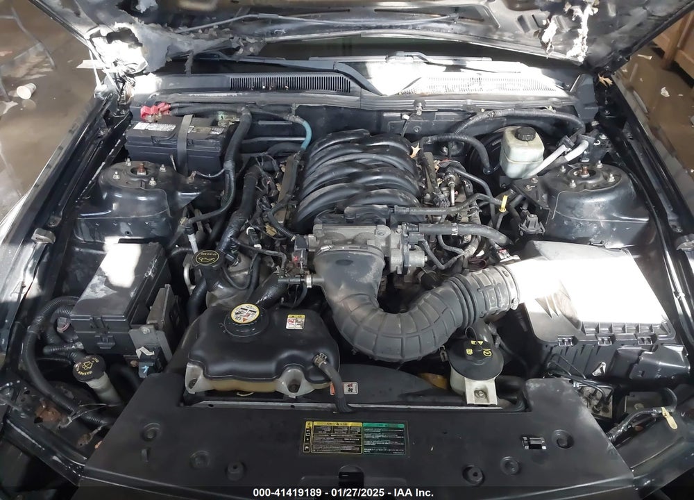 2005 FORD MUSTANG GT DELUXE/GT PREMIUM VIN: 1ZVFT82H955114346