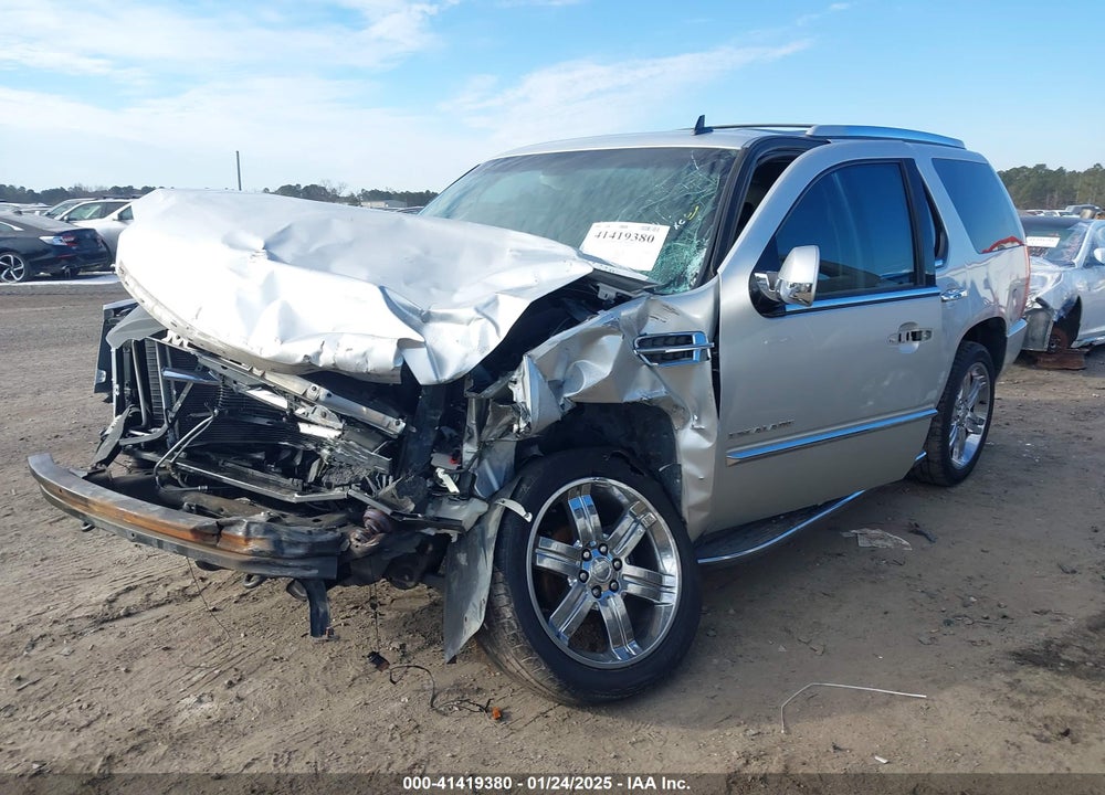 2010 CADILLAC ESCALADE STANDARD VIN: 1GYUCAEF9AR180758
