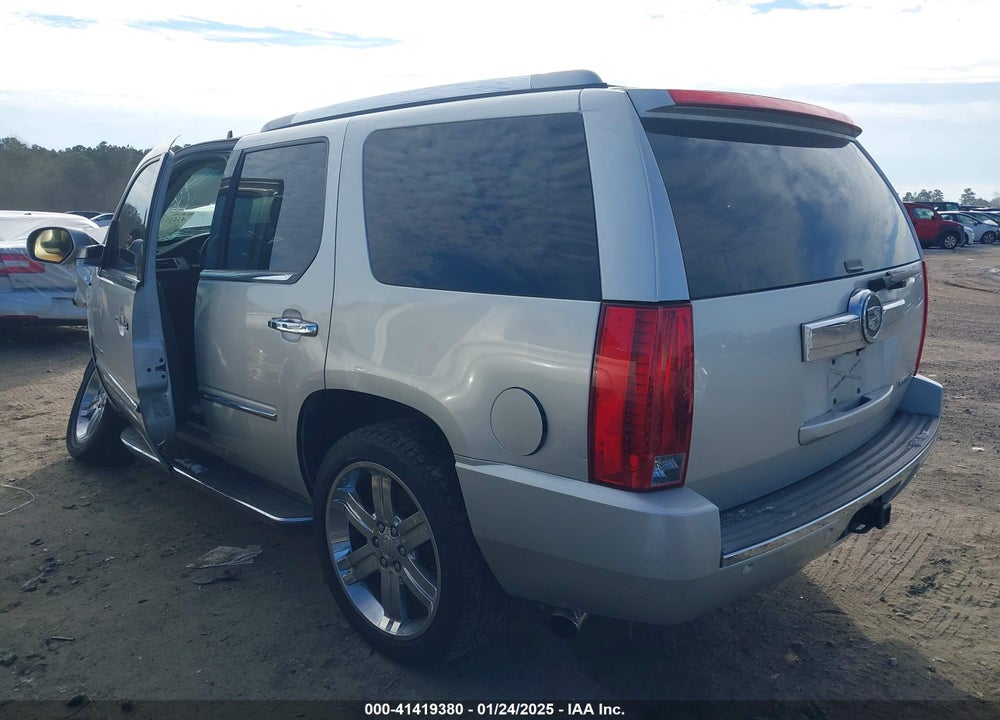 2010 CADILLAC ESCALADE STANDARD VIN: 1GYUCAEF9AR180758