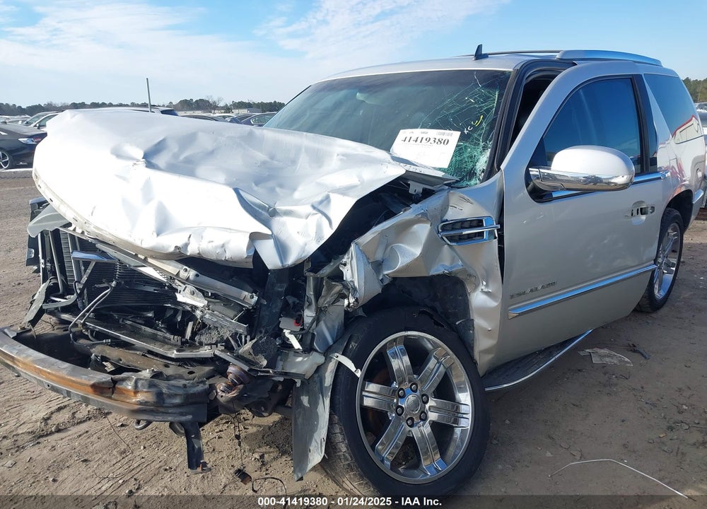 2010 CADILLAC ESCALADE STANDARD VIN: 1GYUCAEF9AR180758