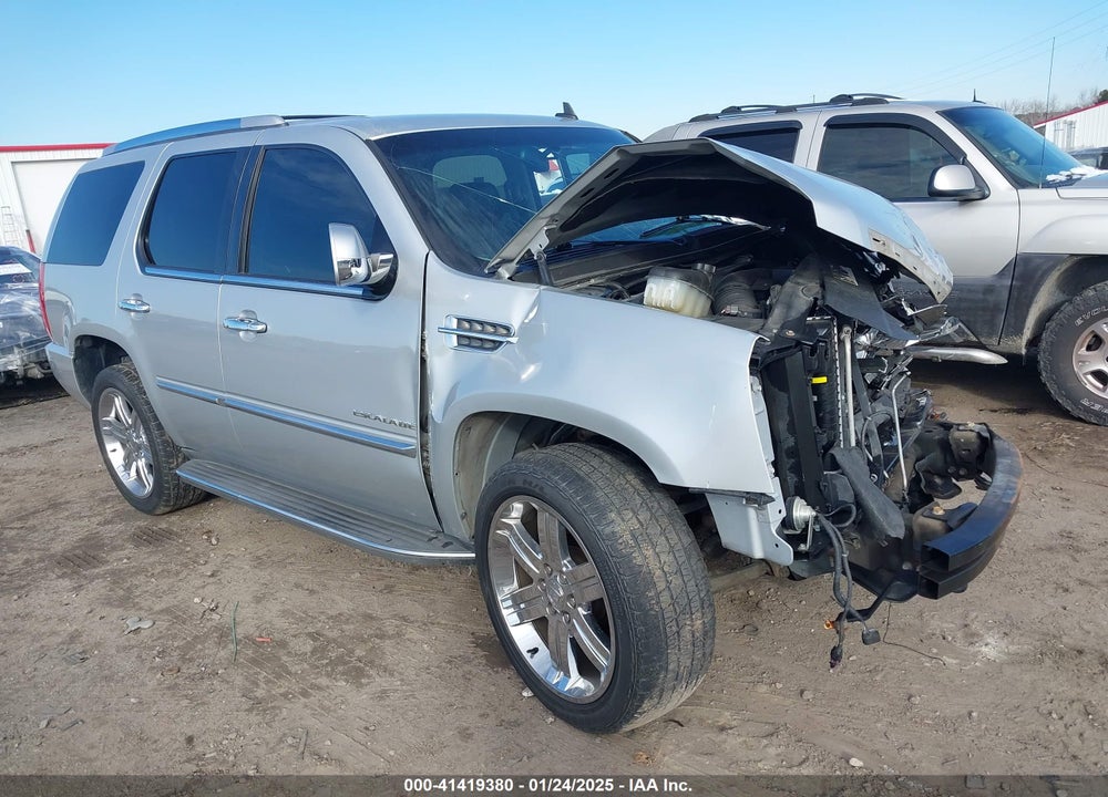 2010 CADILLAC ESCALADE STANDARD VIN: 1GYUCAEF9AR180758