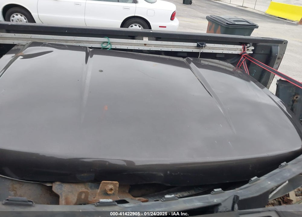 2009 CHEVROLET SILVERADO VIN: 1GCEC39079E100033