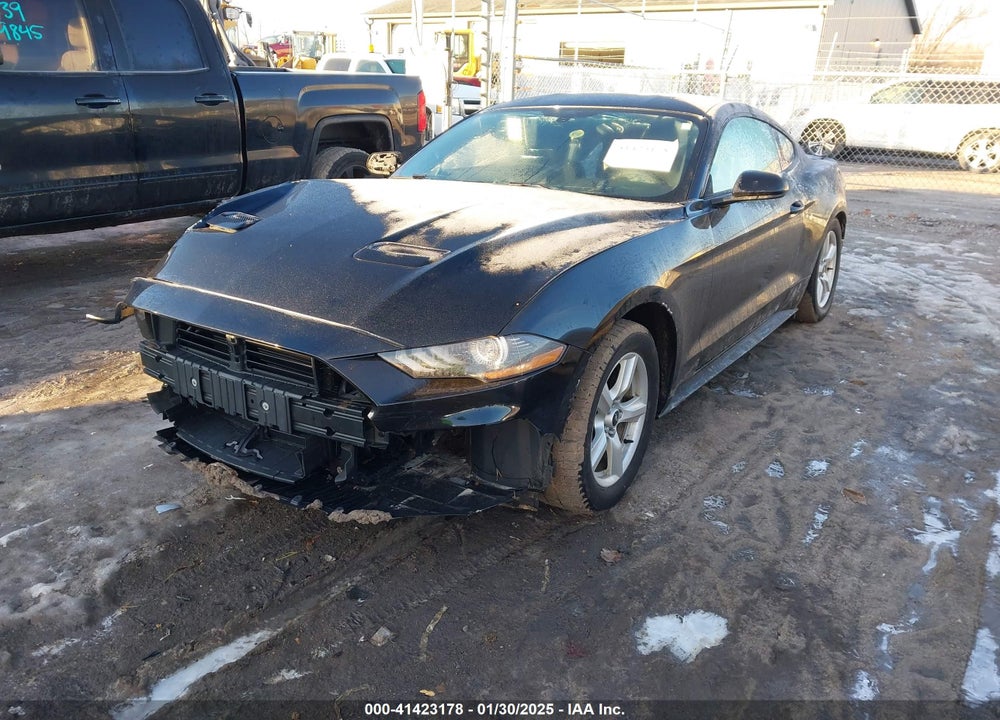 2019 FORD MUSTANG VIN: 1FA6P8TH7K5133596