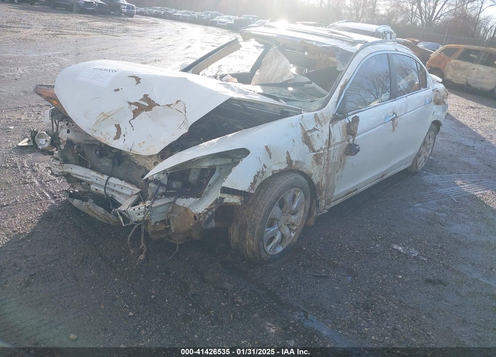 2010 HONDA ACCORD VIN: 1HGCP3F86AA016885