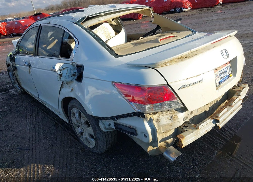 2010 HONDA ACCORD VIN: 1HGCP3F86AA016885