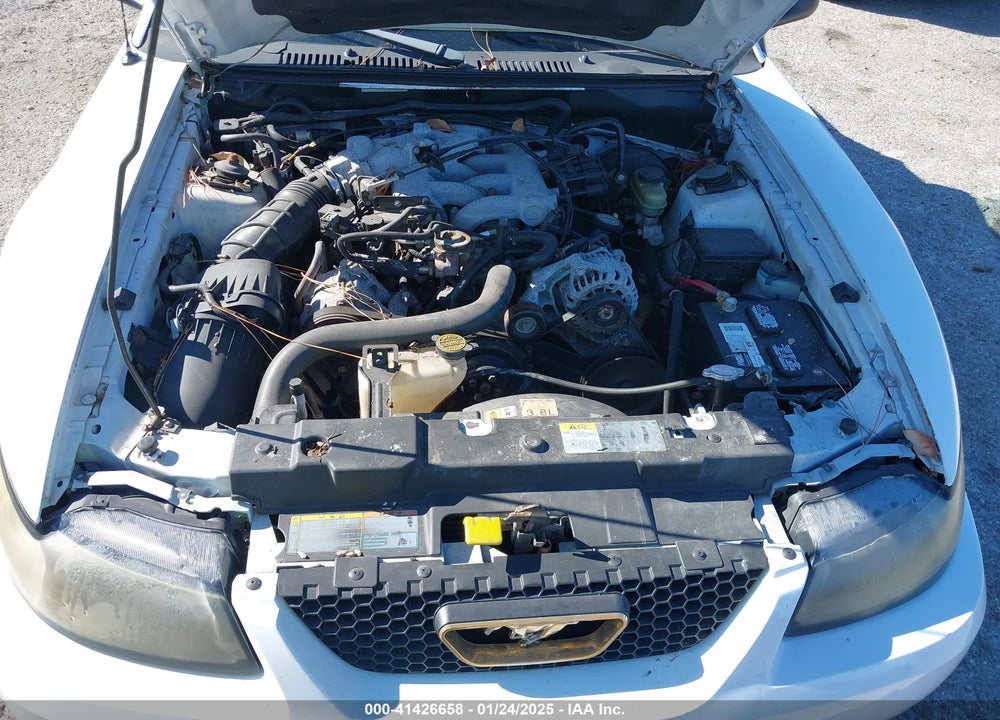 2002 FORD MUSTANG VIN: 1FAFP44462F169066