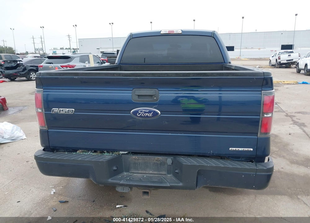 2013 FORD F-150 XL VIN: 1FTMF1CMXDKG45429