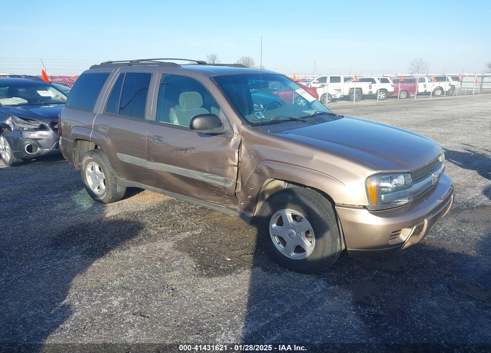 2003 CHEVROLET TRAILBLAZER LS VIN: 1GNDS13S132141352