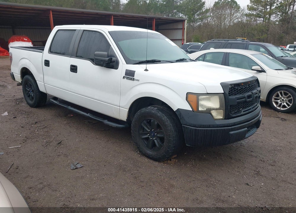 2009 FORD F-150 XL/XLT VIN: 1FTRW12W09FA49271