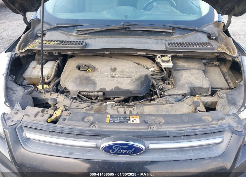 2014 FORD ESCAPE SE VIN: 1FMCU0GX7EUC02088