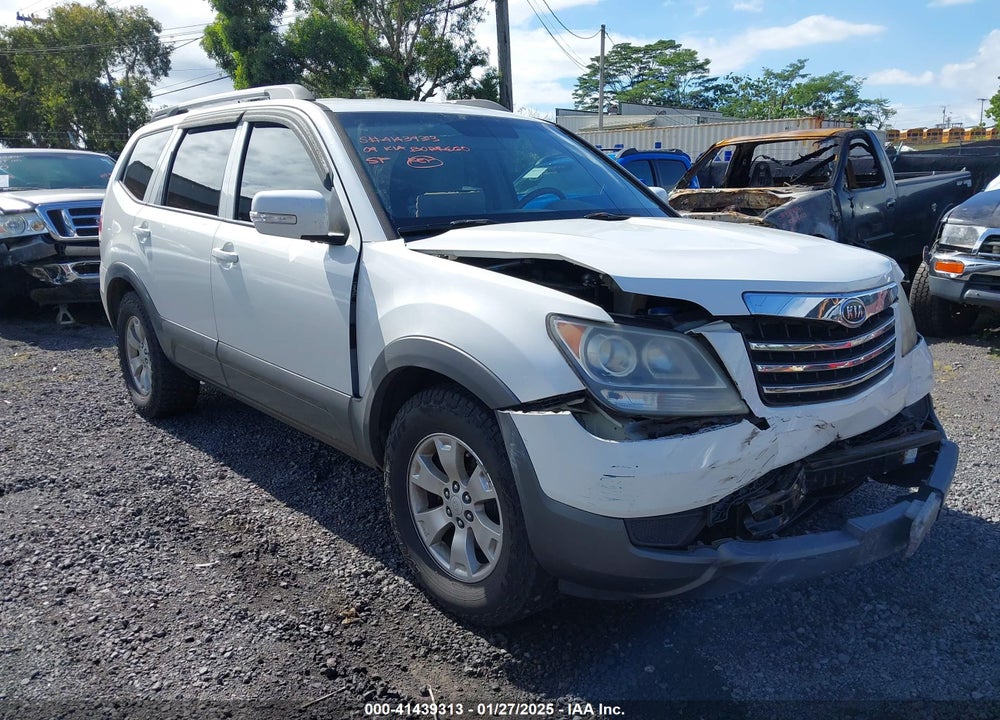 2009 KIA BORREGO LX VIN: KNDJJ741395014195