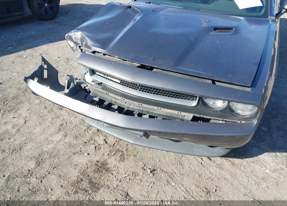 2014 DODGE CHALLENGER VIN: 2C3CDYAG5EH289878
