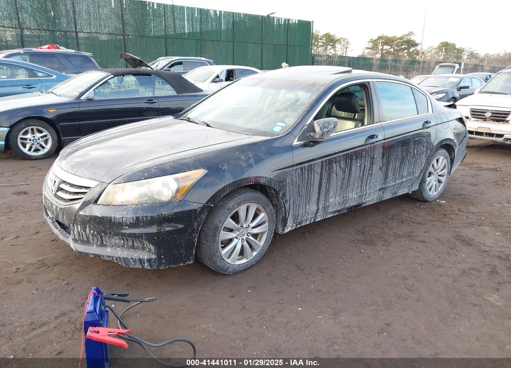 2011 HONDA ACCORD VIN: 1HGCP2F8XBA113647