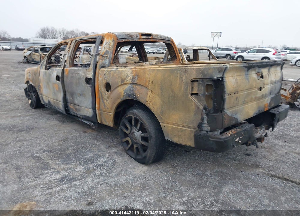 2010 FORD F-150 VIN: 1FTFW1EV0AFC17811