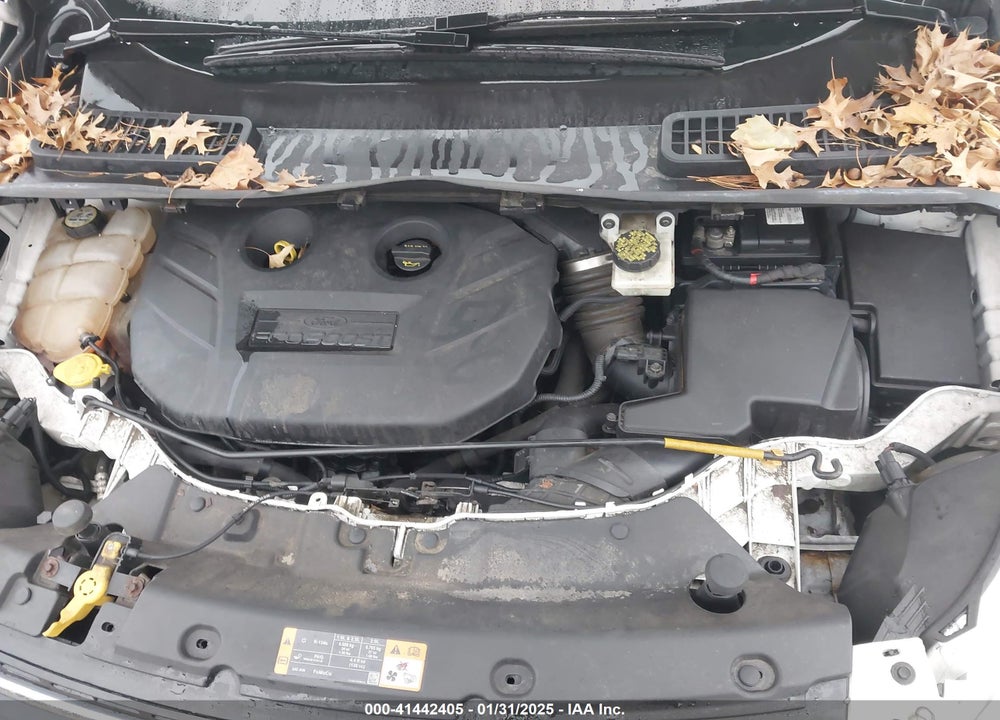 2013 FORD ESCAPE SE VIN: 1FMCU0G96DUD08614